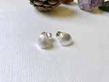 Sterling Silver shell stud earrings, Shell earrings, Beach earrings, Beach jewelry, Silver shell studs, Hawaiian earrings