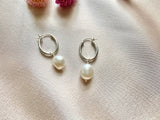 Freshwater Pearl Hoop earrings